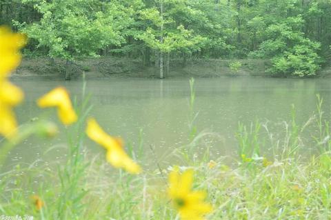 137 E Cadron Ridge Rd, Greenbrier, AR 72058 photo 33