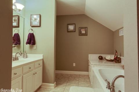 14 Lauren Cv, Cabot, AR 72023 photo 25