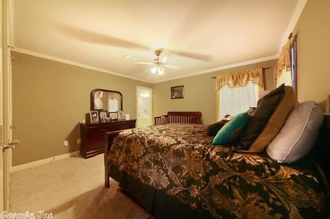 14 Lauren Cv, Cabot, AR 72023 photo 27