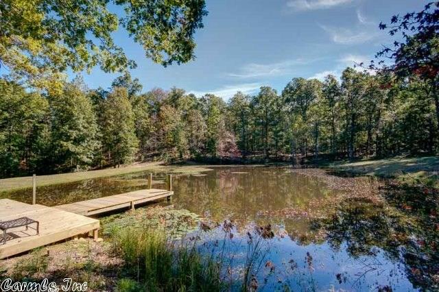 2001 Striper Ln, Ferndale, AR 72223 photo 27