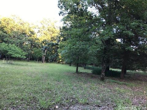239 Mill Pond Rd, Conway, AR 72034 photo 2