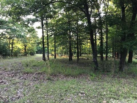 239 Mill Pond Rd, Conway, AR 72034 photo 4