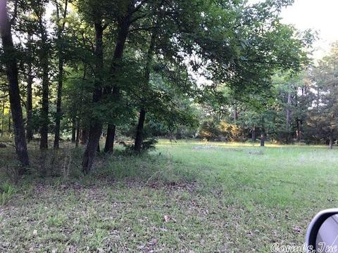 239 Mill Pond Rd, Conway, AR 72034 photo 3