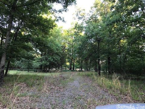 239 Mill Pond Rd, Conway, AR 72034 photo 5