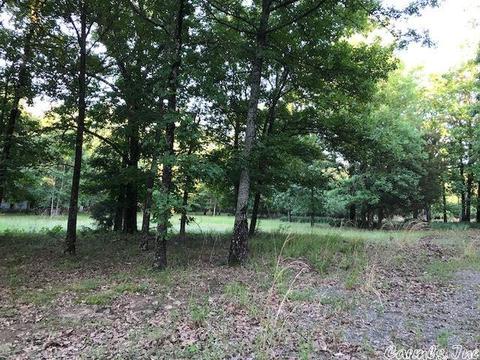 239 Mill Pond Rd, Conway, AR 72034 photo 1