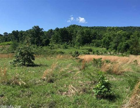 998 Hickernut Tree Rd, Marshall, AR 72650 photo 23