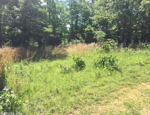 998 Hickernut Tree Rd, Marshall, AR 72650 photo 26