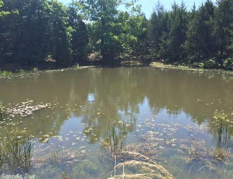998 Hickernut Tree Rd, Marshall, AR 72650 photo 5