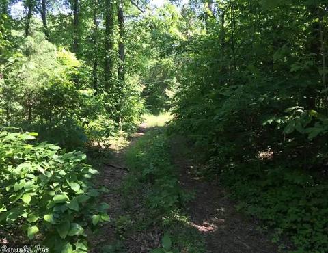 998 Hickernut Tree Rd, Marshall, AR 72650 photo 17