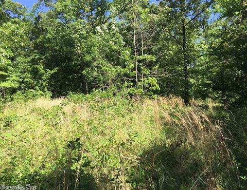998 Hickernut Tree Rd, Marshall, AR 72650 photo 16