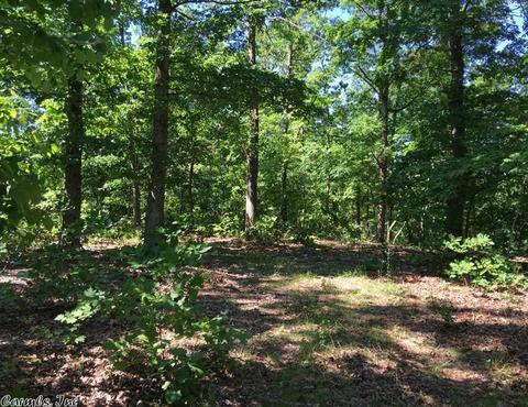 998 Hickernut Tree Rd, Marshall, AR 72650 photo 25