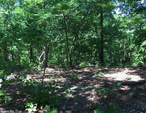 998 Hickernut Tree Rd, Marshall, AR 72650 photo 14