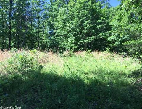 998 Hickernut Tree Rd, Marshall, AR 72650 photo 31