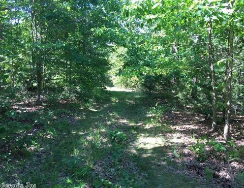 998 Hickernut Tree Rd, Marshall, AR 72650 photo 18