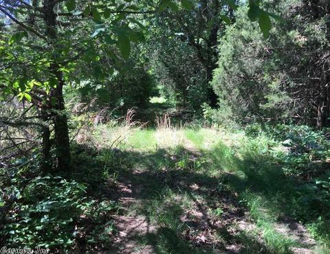 998 Hickernut Tree Rd, Marshall, AR 72650 photo 33