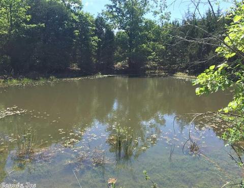 998 Hickernut Tree Rd, Marshall, AR 72650 photo 8