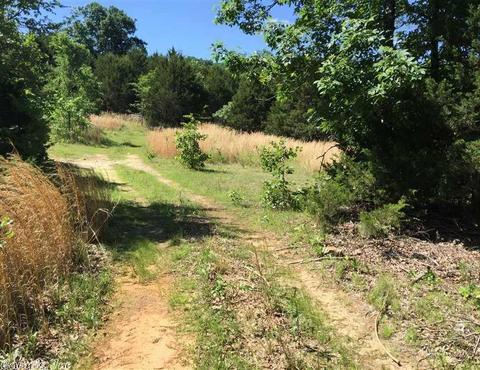 998 Hickernut Tree Rd, Marshall, AR 72650 photo 30