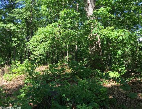 998 Hickernut Tree Rd, Marshall, AR 72650 photo 13