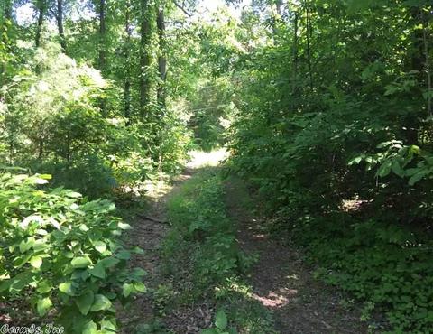 998 Hickernut Tree Rd, Marshall, AR 72650 photo 10
