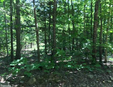 998 Hickernut Tree Rd, Marshall, AR 72650 photo 4