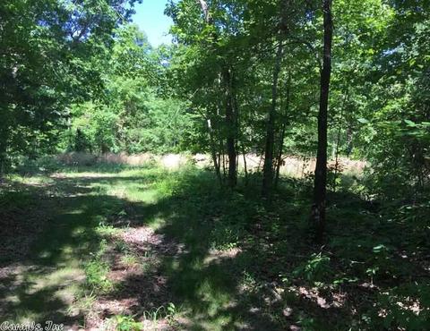 998 Hickernut Tree Rd, Marshall, AR 72650 photo 19