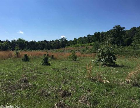 998 Hickernut Tree Rd, Marshall, AR 72650 photo 32