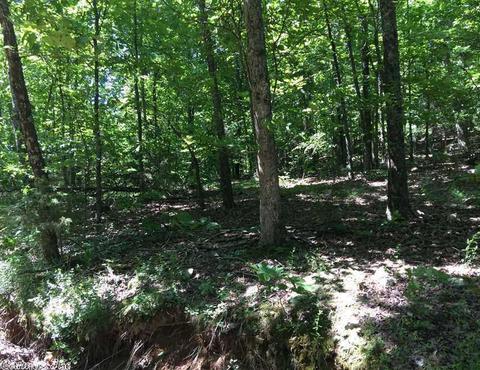 998 Hickernut Tree Rd, Marshall, AR 72650 photo 29