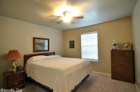 1104 Brandon Dr, Mena, AR 71953 photo 16