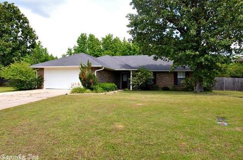 1104 Brandon Dr, Mena, AR 71953 photo 3