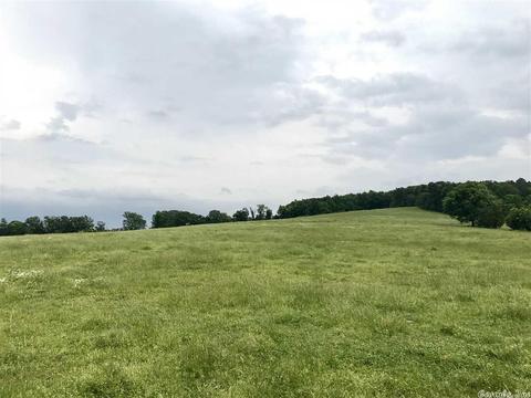 3876 Round Springs Rd, Choctaw, AR 72031 photo 28