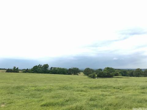 3876 Round Springs Rd, Choctaw, AR 72031 photo 14