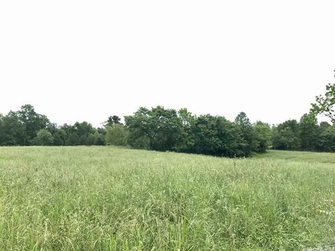 3876 Round Springs Rd, Choctaw, AR 72031 photo 33