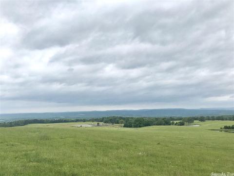 3876 Round Springs Rd, Choctaw, AR 72031 photo 3