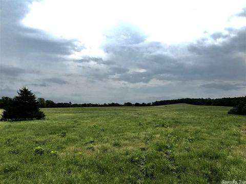 3876 Round Springs Rd, Choctaw, AR 72031 photo 12