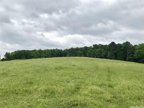 3876 Round Springs Rd, Choctaw, AR 72031 photo 24