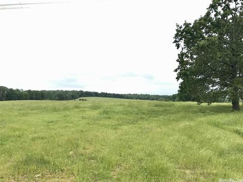 3876 Round Springs Rd, Choctaw, AR 72031 photo 22