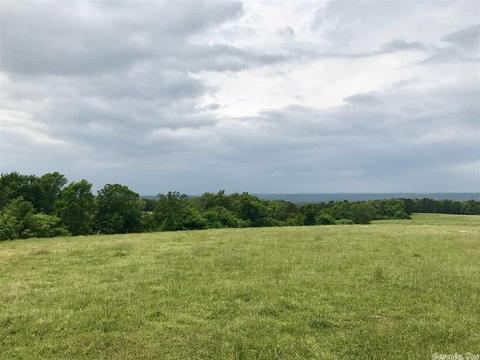 3876 Round Springs Rd, Choctaw, AR 72031 photo 7