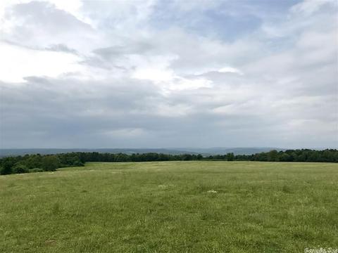 3876 Round Springs Rd, Choctaw, AR 72031 photo 11