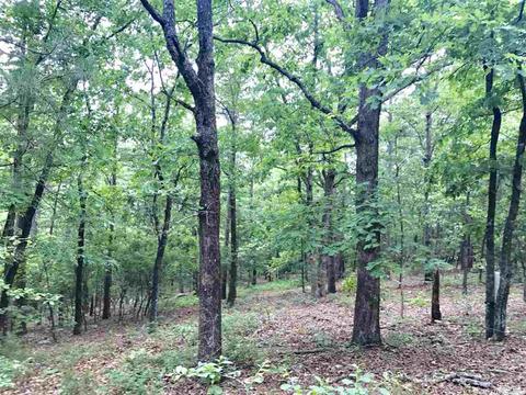 3876 Round Springs Rd, Choctaw, AR 72031 photo 9