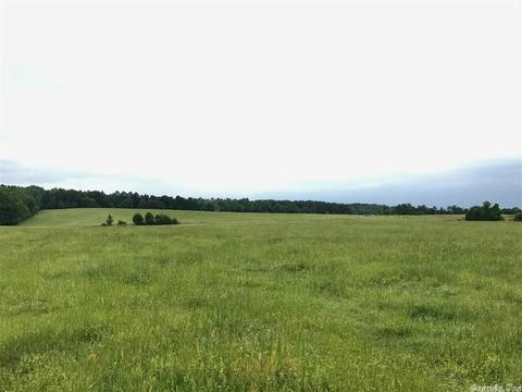 3876 Round Springs Rd, Choctaw, AR 72031 photo 6
