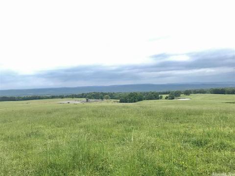 3876 Round Springs Rd, Choctaw, AR 72031 photo 13