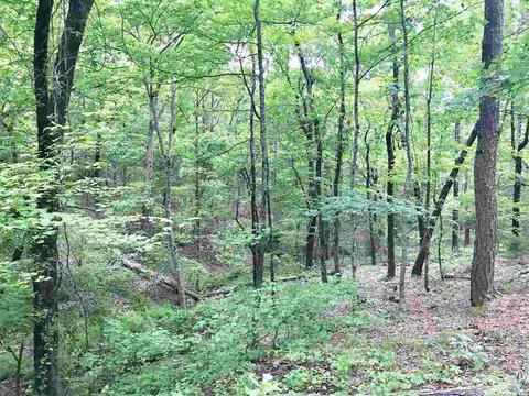 3876 Round Springs Rd, Choctaw, AR 72031 photo 8