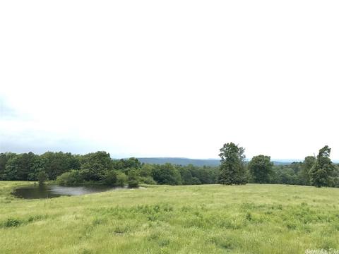 3876 Round Springs Rd, Choctaw, AR 72031 photo 26