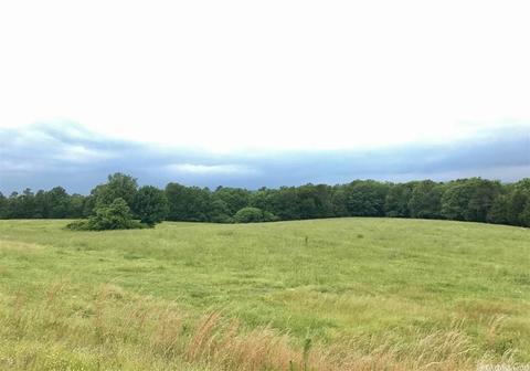 3876 Round Springs Rd, Choctaw, AR 72031 photo 10