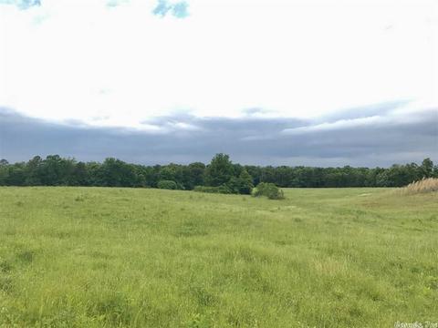 3876 Round Springs Rd, Choctaw, AR 72031 photo 19