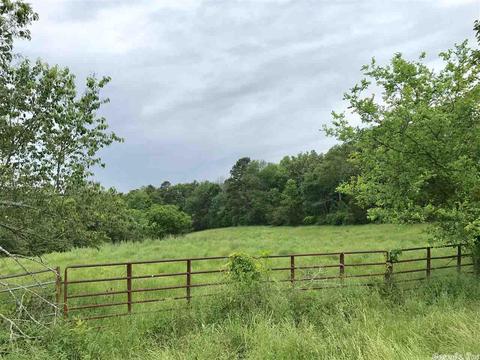 3876 Round Springs Rd, Choctaw, AR 72031 photo 31