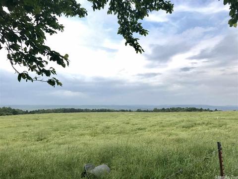 3876 Round Springs Rd, Choctaw, AR 72031 photo 27
