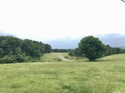 3876 Round Springs Rd, Choctaw, AR 72031 photo 4