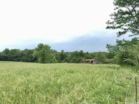 3876 Round Springs Rd, Choctaw, AR 72031 photo 30