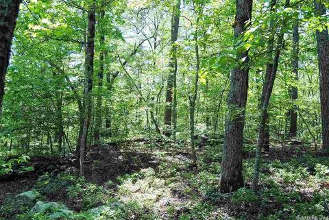 5356 End Line Rd, Marshall, AR 73650 photo 10